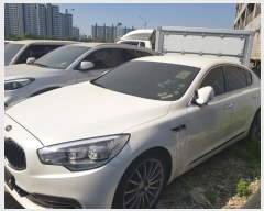  2019Ÿ8169 (¿) ⵵   95      