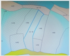 2019Ÿ19138  ȭ ۻ õ 199      ()