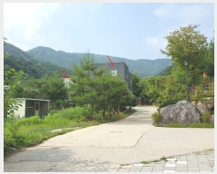  2019Ÿ��33079 ��� ���� ��õ�� ��õ�� 154-49      ���ð��