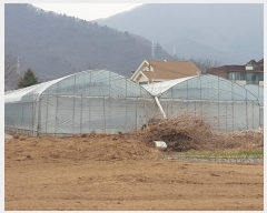  2019Ÿ��1713 ��� ���� ������ ��ȣ�� 795-4      ����(��1)���