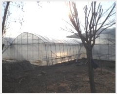  2019Ÿ��1713 ��� ���� ������ ��ȣ�� 795-4      ����(��1)���