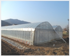  2019Ÿ��1713 ��� ���� ������ ��ȣ�� 795-4      ����(��1)���