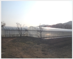  2019Ÿ��1713 ��� ���� ������ ��ȣ�� 795-4      ����(��1)���