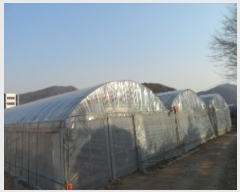  2019Ÿ��1713 ��� ���� ������ ��ȣ�� 795-4      ����(��1)���