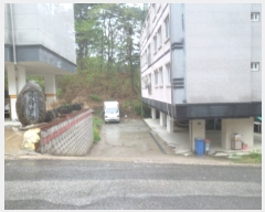  2019Ÿ��2952 ��� ���� �缭�� ������ 335-10      ����(����)���