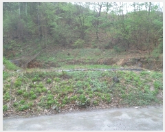  2019Ÿ��2952 ��� ���� �缭�� ������ 335-10      ����(����)���