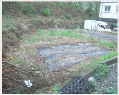  2019Ÿ��2952 ��� ���� �缭�� ������ 335-10      ����(����)���