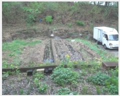  2019Ÿ��2952 ��� ���� �缭�� ������ 335-10      ����(����)���