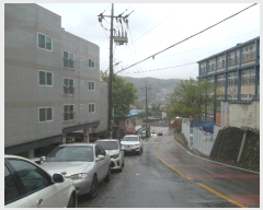  2019Ÿ��2952 ��� ���� �缭�� ������ 335-10      ����(����)���