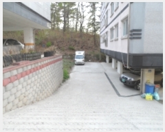  2019Ÿ��2952 ��� ���� �缭�� ������ 335-10      ����(����)���