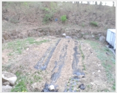  2019Ÿ��2952 ��� ���� �缭�� ������ 335-10      ����(����)���