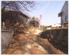  2019Ÿ��416 ��� �ȼ��� ������ ���¸� 13      ������