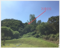  2019Ÿ��45556 ��� �ȼ��� �׻�� ĥ�帮 ��83      ����(�Ӿ�)���