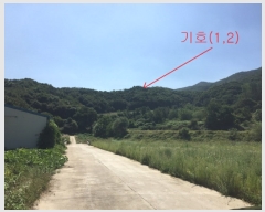  2019Ÿ��45556 ��� �ȼ��� �׻�� ĥ�帮 ��83      ����(�Ӿ�)���