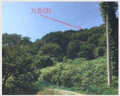  2019Ÿ��45556 ��� �ȼ��� �׻�� ĥ�帮 ��83      ����(�Ӿ�)���