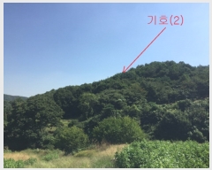  2019Ÿ��45556 ��� �ȼ��� �׻�� ĥ�帮 ��83      ����(�Ӿ�)���