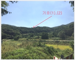  2019Ÿ��45556 ��� �ȼ��� �׻�� ĥ�帮 ��83      ����(�Ӿ�)���