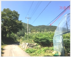  2019Ÿ��45556 ��� �ȼ��� �׻�� ĥ�帮 ��83      ����(�Ӿ�)���