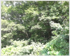  2019Ÿ��45556 ��� �ȼ��� �׻�� ĥ�帮 ��83      ����(�Ӿ�)���