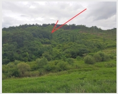  2019Ÿ��3235 ���� Ⱦ���� ��õ�� �ΰ ��37-5      ����(�Ӿ�)���