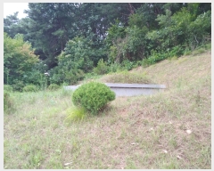  2019Ÿ��3235 ���� Ⱦ���� ��õ�� �ΰ ��37-5      ����(�Ӿ�)���