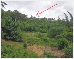  2019Ÿ��3235 ���� Ⱦ���� ��õ�� �ΰ ��37-5      ����(�Ӿ�)���