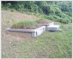  2019Ÿ��3235 ���� Ⱦ���� ��õ�� �ΰ ��37-5      ����(�Ӿ�)���