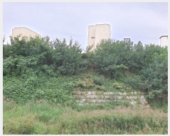  2019Ÿ��3303 ���� ���ֽ� �౸�� 888-84       ����(�Ӿ�)���