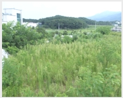  2019Ÿ��3303 ���� ���ֽ� �౸�� 888-84       ����(�Ӿ�)���