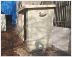  2019Ÿ��501067 ���� Ⱦ���� Ⱦ���� ��� 427-1      ������