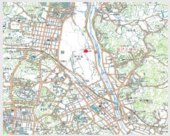  2019Ÿ��501876 (ȭ����) ������ ���ֽ� ������ 31      �������