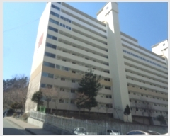  2019Ÿ3571  Ʈ