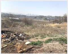  2019Ÿ��4222 ��� û�ֽ� û���� ���̸� ��縮 459-2     ����(��1)���