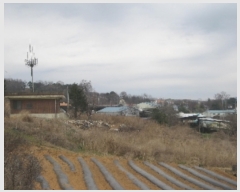  2019Ÿ��4222 ��� û�ֽ� û���� ���̸� ��縮 459-2     ����(��1)���