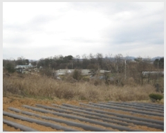  2019Ÿ��4222 ��� û�ֽ� û���� ���̸� ��縮 459-2     ����(��1)���