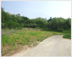  2019Ÿ2779  ֽ ҿ  378-2      ()