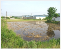  2019Ÿ2779  ֽ ҿ  378-2      ()