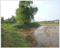  2019Ÿ2779  ֽ ҿ  378-2      ()