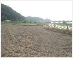  2019Ÿ2779  ֽ ҿ  378-2      ()