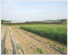  2019Ÿ2779  ֽ ҿ  378-2      ()