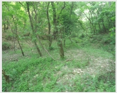  2019Ÿ2779  ֽ ҿ  378-2      ()