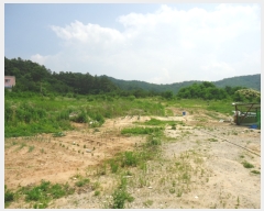  2019Ÿ��3284 ��� ���ֽ� �ִ��� �� 119-29      ���ð��