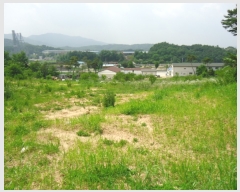  2019Ÿ��3284 ��� ���ֽ� �ִ��� �� 119-29      ���ð��