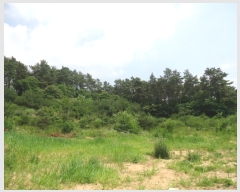  2019Ÿ��3284 ��� ���ֽ� �ִ��� �� 119-29      ���ð��