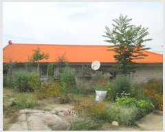  2019Ÿ��3567 ��� ������ ��Ҹ� ���¸� 368-6      ����(��)���