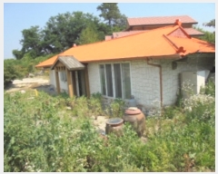  2019Ÿ��3567 ��� ������ ��Ҹ� ���¸� 368-6      ����(��)���