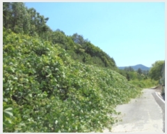  2019Ÿ��3628 ��� ���ֽ� ���Ⱥ��� ��õ�� 758-1      ����(�Ӿ�)���