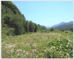  2019Ÿ��3628 ��� ���ֽ� ���Ⱥ��� ��õ�� 758-1      ����(�Ӿ�)���