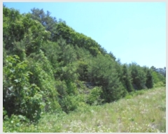  2019Ÿ��3628 ��� ���ֽ� ���Ⱥ��� ��õ�� 758-1      ����(�Ӿ�)���