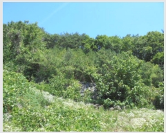  2019Ÿ��3628 ��� ���ֽ� ���Ⱥ��� ��õ�� 758-1      ����(�Ӿ�)���